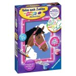 Ravensburger 29607 Malen nach Zahlen Pferd
