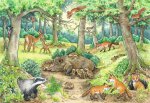 Ravensburger Puzzle 05673 Tiere im Wald und auf der Wiese 2x12 Teile Wissensposter, WWW? Puzzle