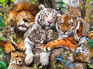 Ravensburger Puzzle 12721 Schmusende Raubkatzen Tier-Puzzle, mit 200 Teilen im XXL-Format