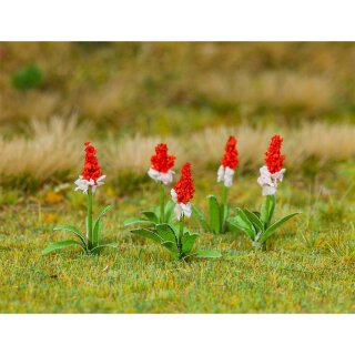 Faller 181267 32 Orchideenprimeln H0