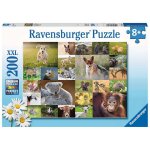 Ravensburger 13353 Süße Tierbabys Teileanzahl...