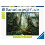 Ravensburger 17494 Puzzle Woods Teileanzahl 1000