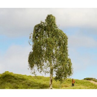 NOCH 20120 Hängebirke Spur H0 TT N Z