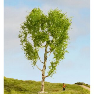 NOCH 20125 Moorbirke Spur H0 TT N Z