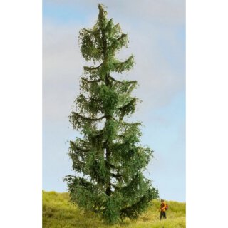 NOCH 20190 Fichte Spur H0 TT N Z