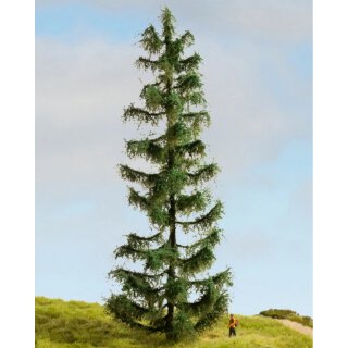 NOCH 20192 Fichte