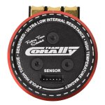 Team Corally C-61311 brushless Motor Pista 805 – Sensoriert – 4-polig – 2450 kV