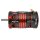 Team Corally C-61311 brushless Motor Pista 805 – Sensoriert – 4-polig – 2450 kV