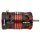 Team Corally C-61311 brushless Motor Pista 805 – Sensoriert – 4-polig – 2450 kV