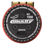 Team Corally C-61313 brushless Motor Pista 805 – Sensoriert – 4-polig – 1950 kV