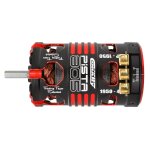 Team Corally C-61313 brushless Motor Pista 805 – Sensoriert – 4-polig – 1950 kV