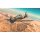Italeri 02767 1:48 Macchi MC. 200 Series XXI-XXIII 510002767