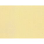 NOCH 61171 Acrylspray, matt, elfenbein 200ml