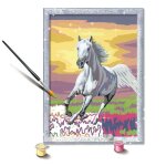 Ravensburger 23768 Malen nach Zahlen Galoppierender Schimmel Ab 9 Jahren