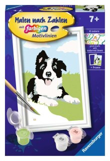 Ravensburger 23759 Malen nach Zahlen Kinder Border Collie Welpe