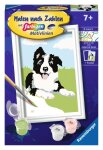 Ravensburger 23759 Malen nach Zahlen Kinder Border Collie...