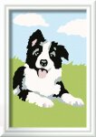 Ravensburger 23759 Malen nach Zahlen Kinder Border Collie Welpe