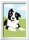 Ravensburger 23759 Malen nach Zahlen Kinder Border Collie Welpe