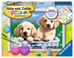 Ravensburger 27839 Malen nach Zahlen Kinder Süße Hundewelpen
