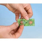 NOCH 14100 Farn Spur H0