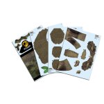 Revell 00242 3D Puzzle Jurassic World Dominion Triceratops