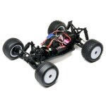 LOSI LOS01019T1 1/18 Mini-T 2.0 2WD Stadium Truck Brushless RTR Rot