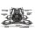 HPI 160030 Jumpshot MT Flux 2WD 2,4GHz brushless Monster Truck - 100% RTR-Set