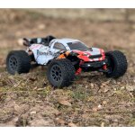 DF-Models 3135 FighterTruggy Mini 1:16 Truggy - 4WD RTR