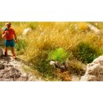 NOCH 06920 PROFI-Grasbüschel “steinig” Spurweite: H0, TT, N, Z, 0, 1, G