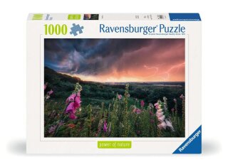 Ravensburger 00793 Ein Sturm zieht auf 1000 Teile Puzzle