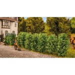 NOCH 21547 Thuja-Hecke Spur H0,TT,N