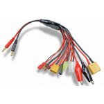 Carson 906306 Multi-Ladekabel 8 in 1, 4mm Bananenstecker...
