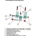 robbe 50616 Rumpfhalter Typ "XL" bis ca. 135mm
