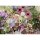 Ravensburger 00620 Puzzle Prachtvolle Blumenliebe Teileanzahl: 1000