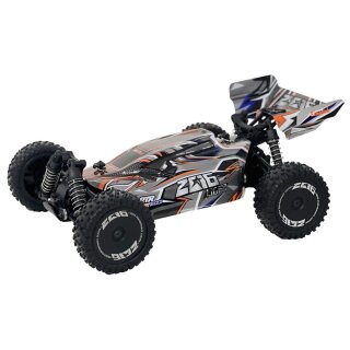 DF-Models 3133 Z06 Light Buggy 1:14 4WD Brushed RTR