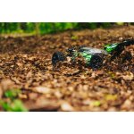 Carson 409082 Akuma brushless 1:8 Buggy 4WD 2,4GHz 100% RTR grün 500409082