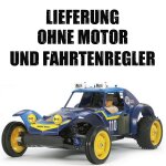 Tamiya 58470 Holiday Buggy 1:10 RC 2WD 2010 DT-02 - ohne...