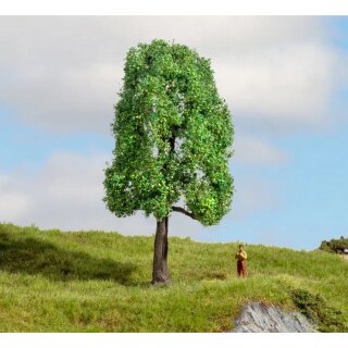 NOCH 20101 Esche Spur H0, TT, N, Z, 0, 1, G,