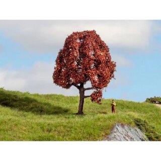 NOCH 20151 Rotbuche Spur H0 TT N Z