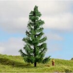 NOCH 20193 Fichte Spur H0, TT, N, Z, 0, 1, G,