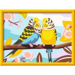 Ravensburger 23994 Malen nach Zahlen Bunte Wellensittiche