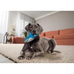 KONG Maxx Shark Plüschtier