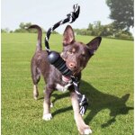 KONG Extreme Dental mit Seil M