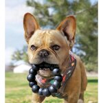 KONG Extreme Ring XL aus Naturkautschuk