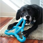 KONG Flyangle Assorti Apportierspielzeug