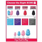 KONG Puppy Assorti aus Naturkautschuk M