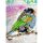 Ravensburger 01438 Puzzle Bunter Vogel Teileanzahl: 1000