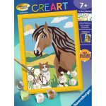 Ravensburger 25886 Malen nach Zahlen Junior: Pferd und...