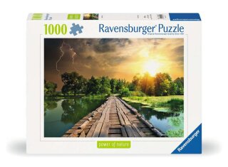 Ravensburger 00305 Mystisches Licht Puzzle Teielanzahl 1000