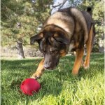 KONG Extreme Ball mit Loch Rot L